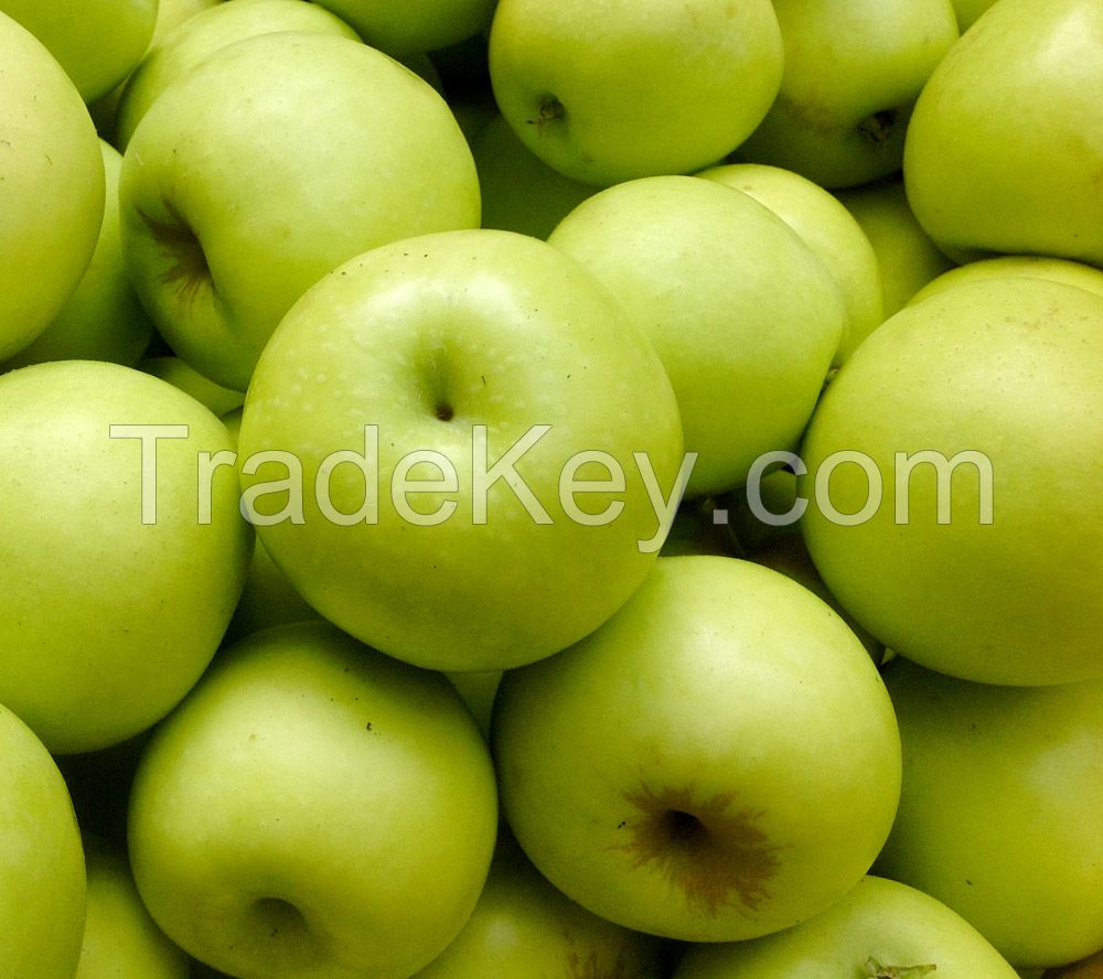 Apple Gala Apples Apple / Green Delicious Red Apple New Fresh Gala Apples