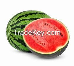 Fresh Water Melon