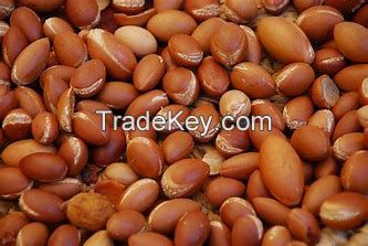 Macadamia nuts, Brazil Nuts, Hazelnuts, Pecan Nuts, Pine Nuts, Punpkin Kernel,   