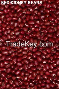 Soybeans, Kidney Beans, Black Beans, Fresh Beans, Mung Beans, Other Beans  