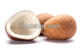 Coconut