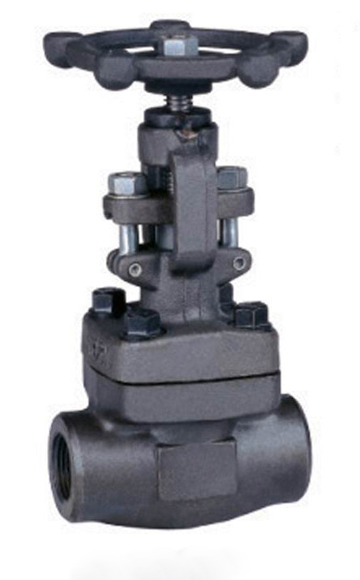 AIP forge steel gate valve