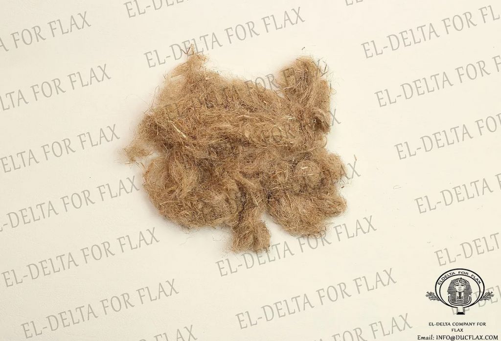 FLAX WASTE