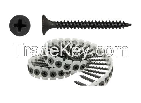 Plasterboard Screw