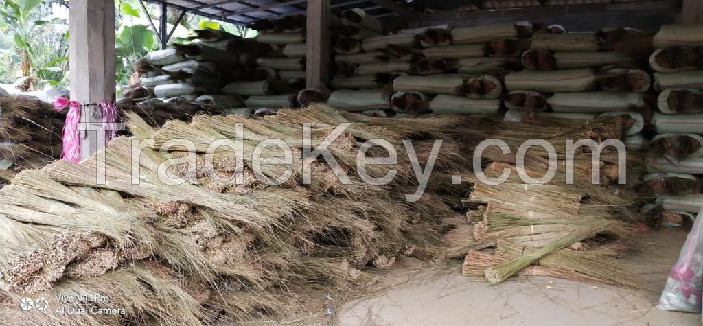 Palm Ekel Brooms
