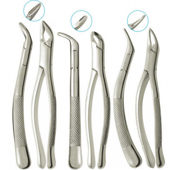 Extracting Forceps