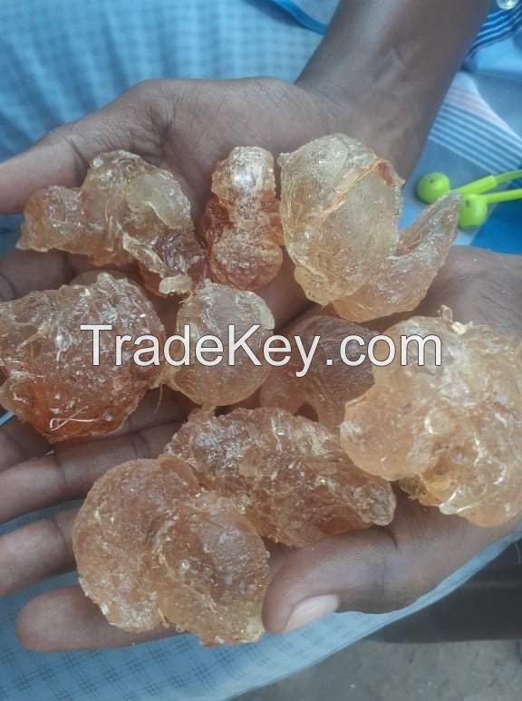 Gum arabic