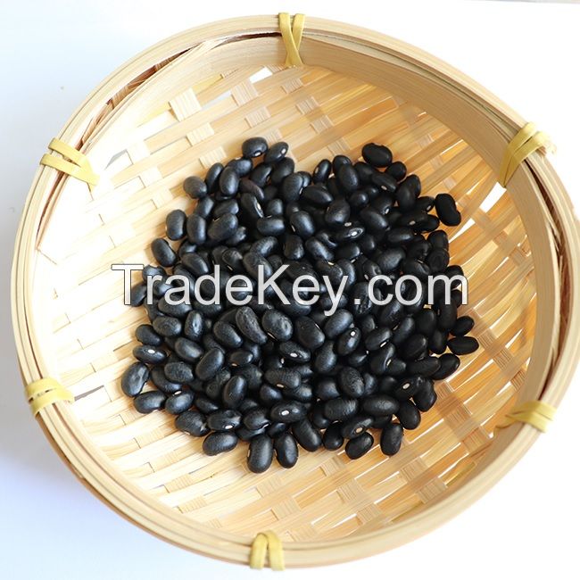 Black kidney beans