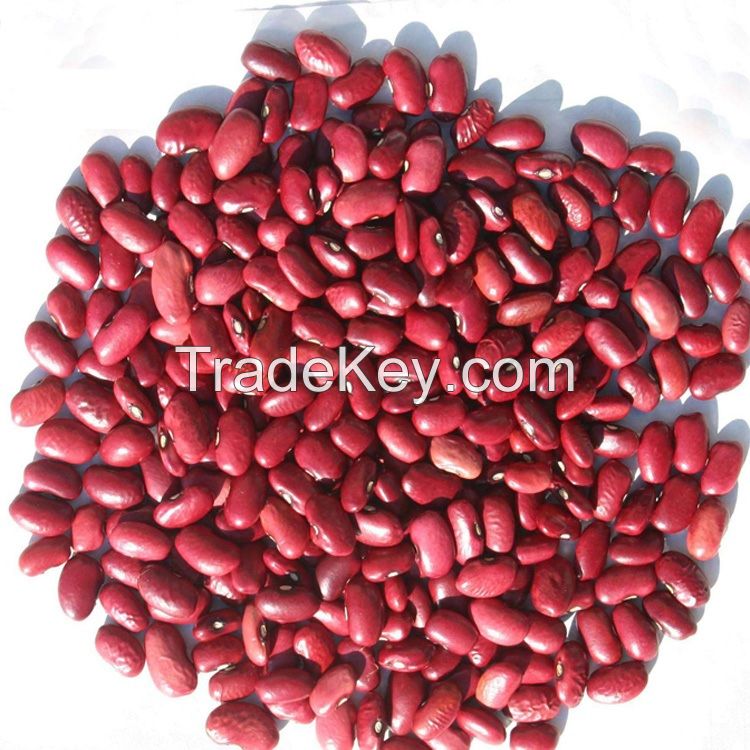 Red Kidney beans