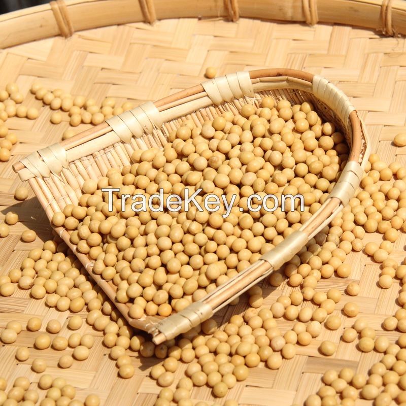 Top Grade Soybean seeds