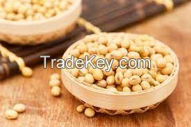 NON GMO Soyabean