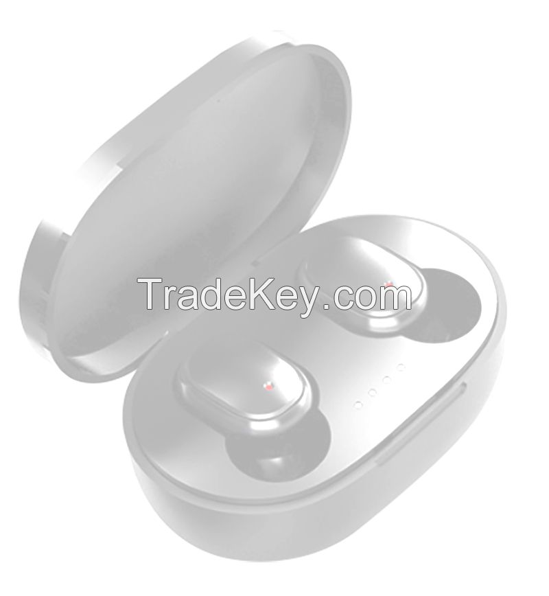 RS-Y1843, Monotone canal type earphone bluetooth5.0 Completely wireless