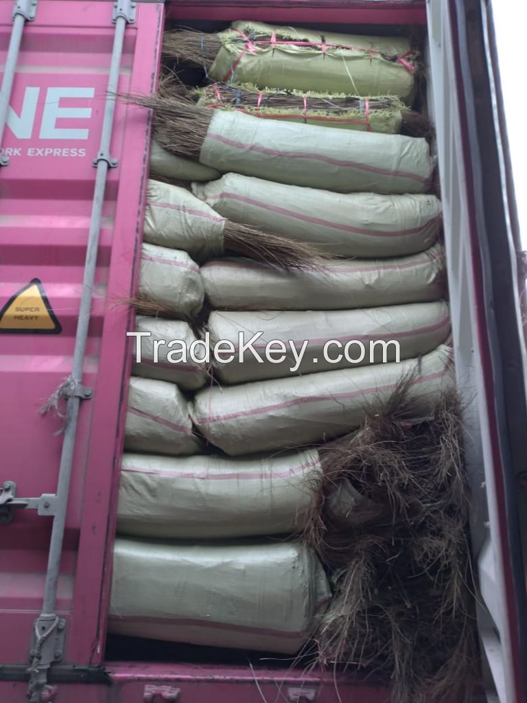 Palm Ekel Brooms