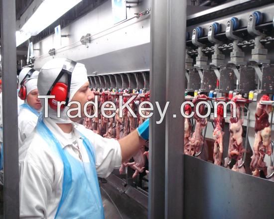 Halal Frozen Chicken