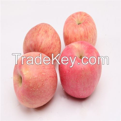 Hot Sell Fresh Apple