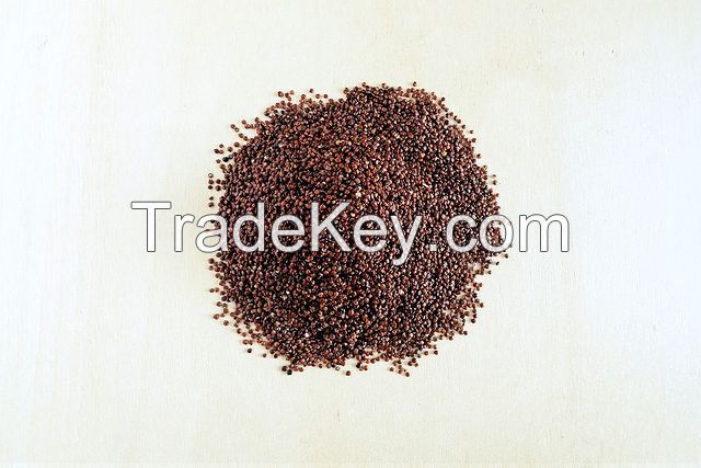 Quinoa seeds