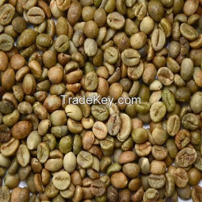 Green Robusta Coffee Beans