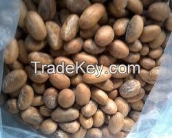 Bitter kola nut for export