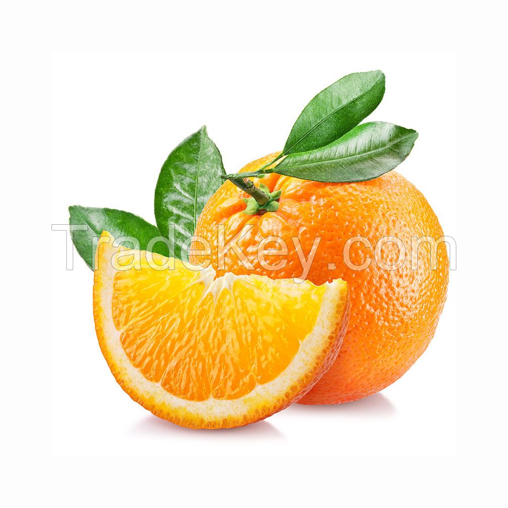 Low Best Price For Fresh Orange Fruit Wholesale