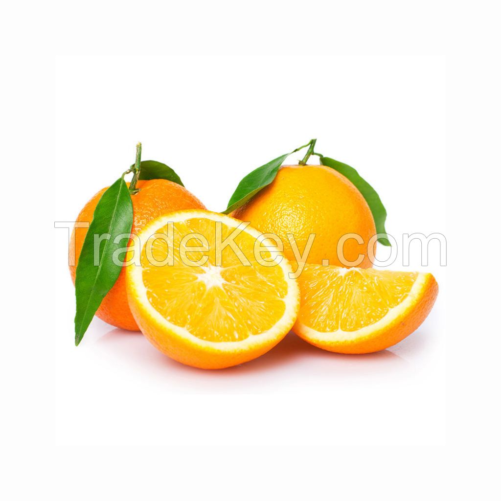Low Best Price For Fresh Orange Fruit Wholesale