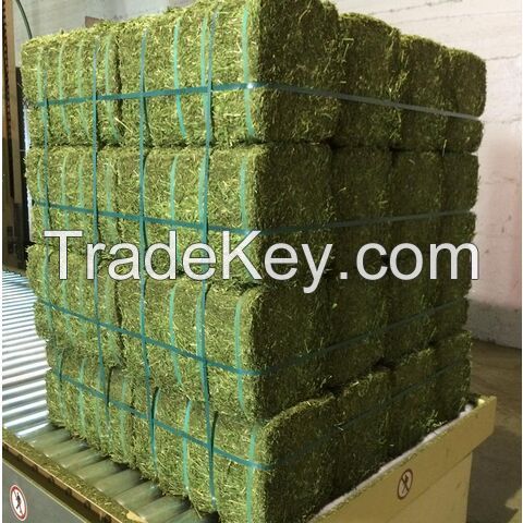 Alfalfa Hay For Export