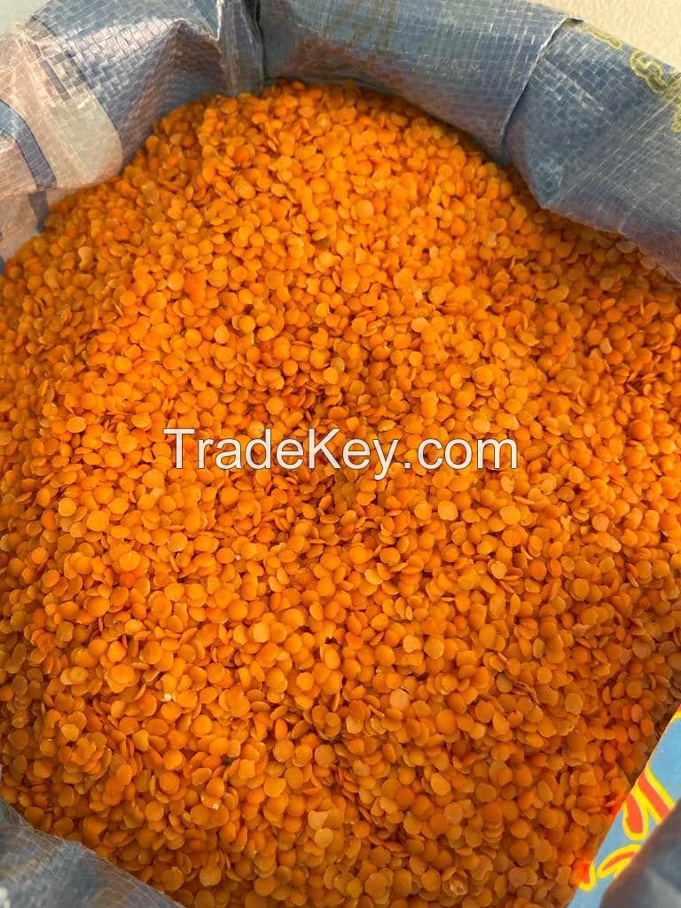Red Lentils For Export and Wholesale