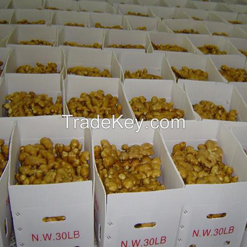 100% Pure Fresh Organic Ginger