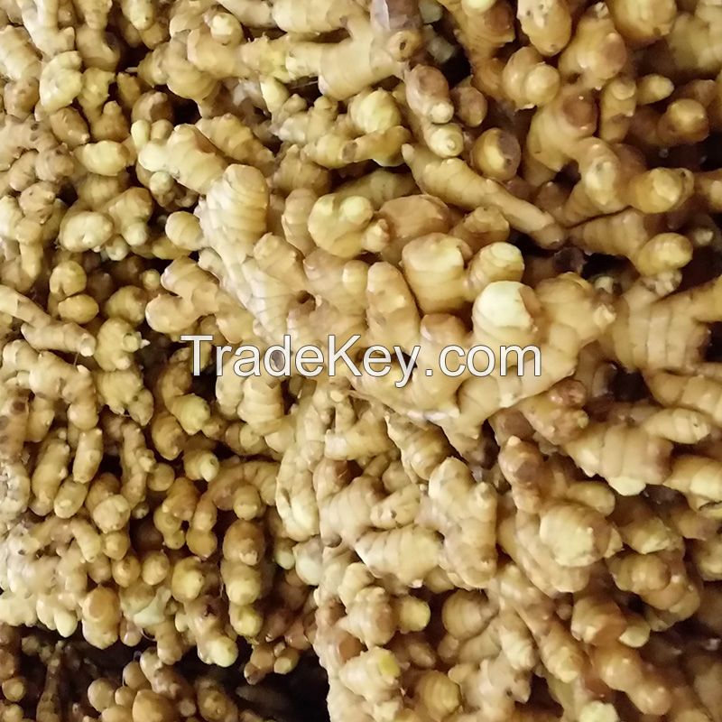 100% Pure Fresh Organic Ginger