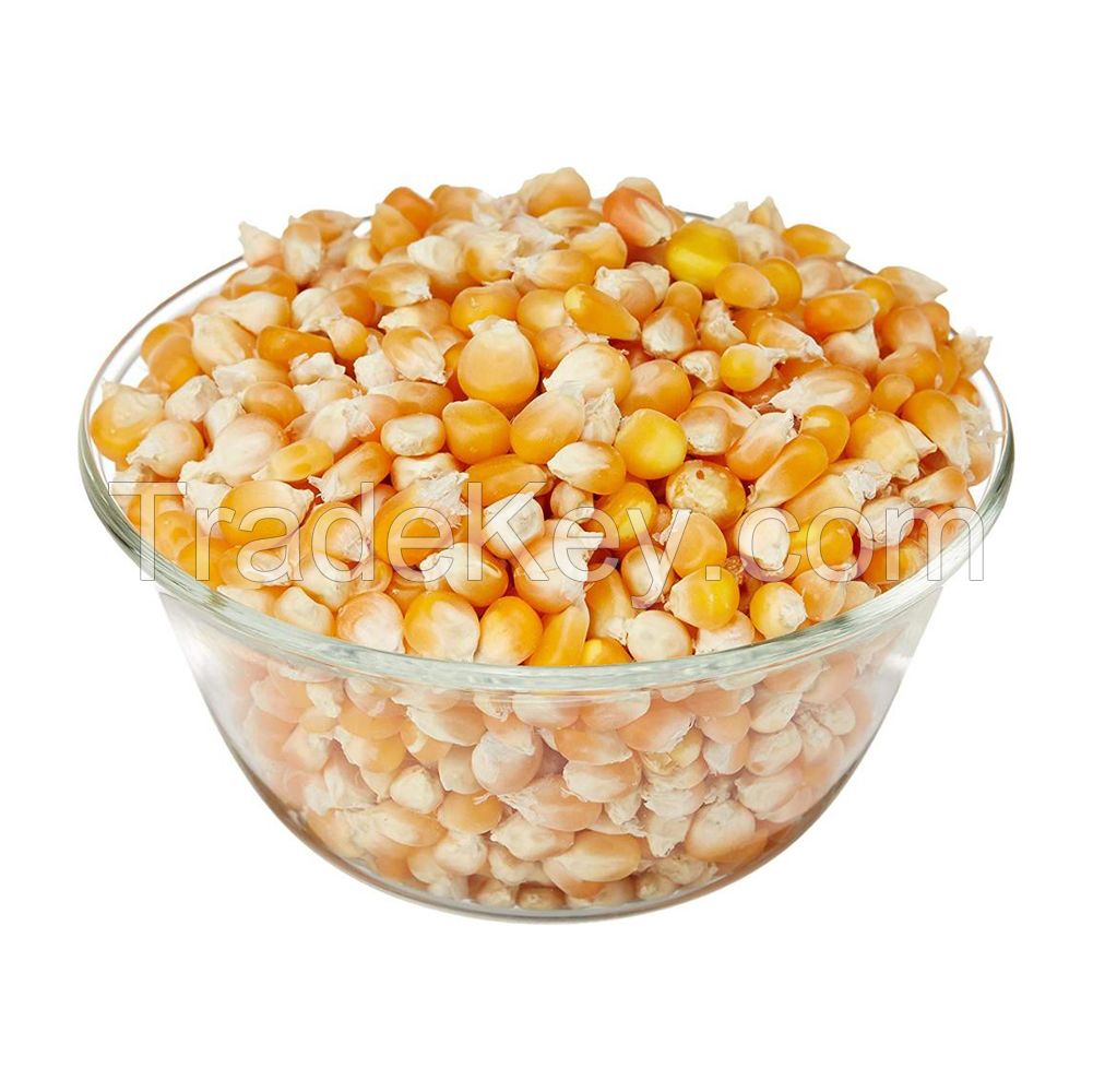 Yellow Corn (Maize) | Bulk Supply for Feed and Food Use