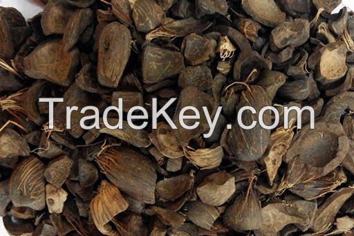 Palm Kernel Shell (PKS)