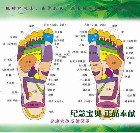 detox patch, foot patch, detox slim foot patch, korea detox