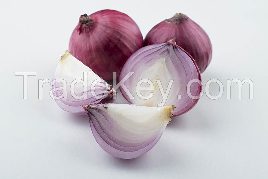 Fresh Onion