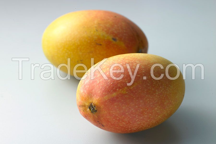 MANGOES