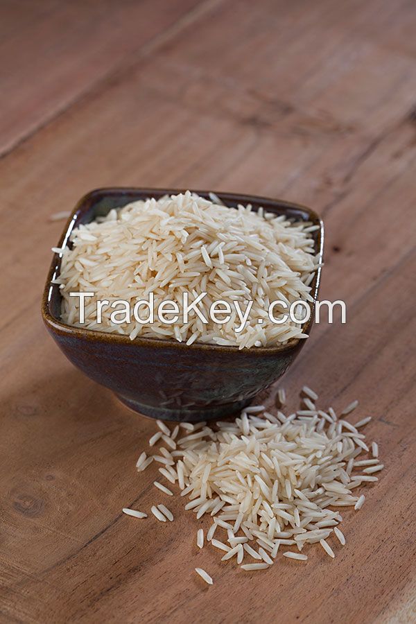 Fresh Basmati Rice