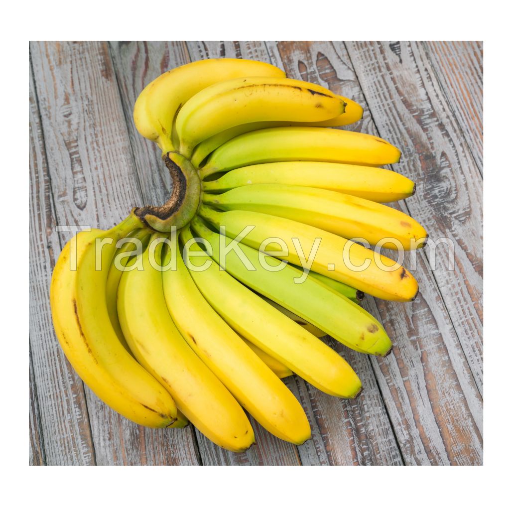 Fresh Cavendish Banana