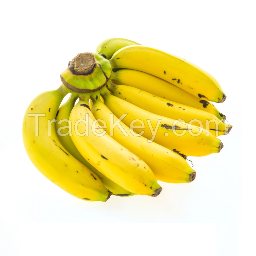 Fresh Cavendish Banana