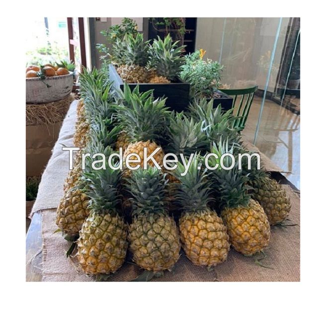 Top Quality VIETNAMESE 100% Pineapple_ Nutrition and benefits and Cheap price