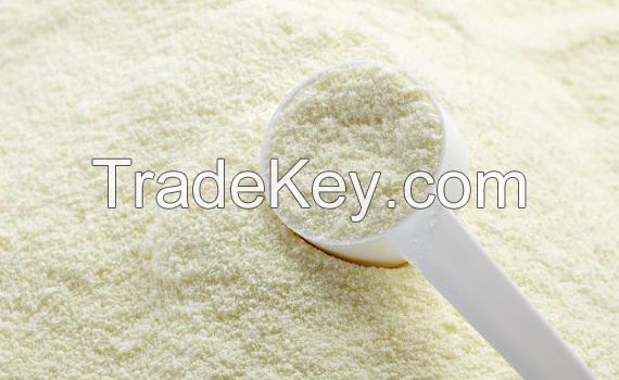 Full Cream Milk Powder 25kg bags