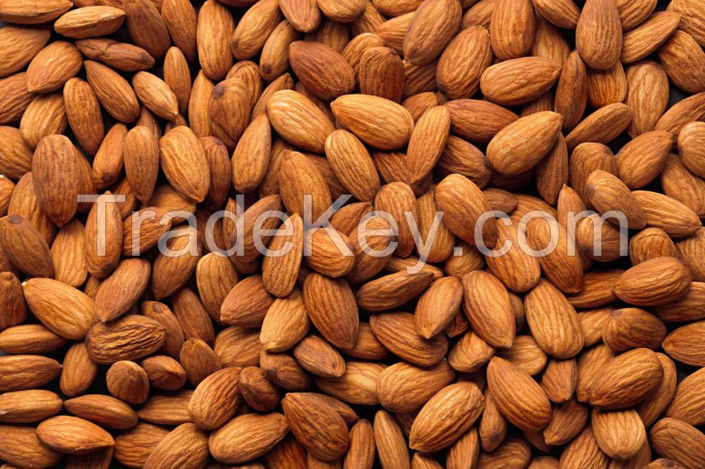 Almond Nuts