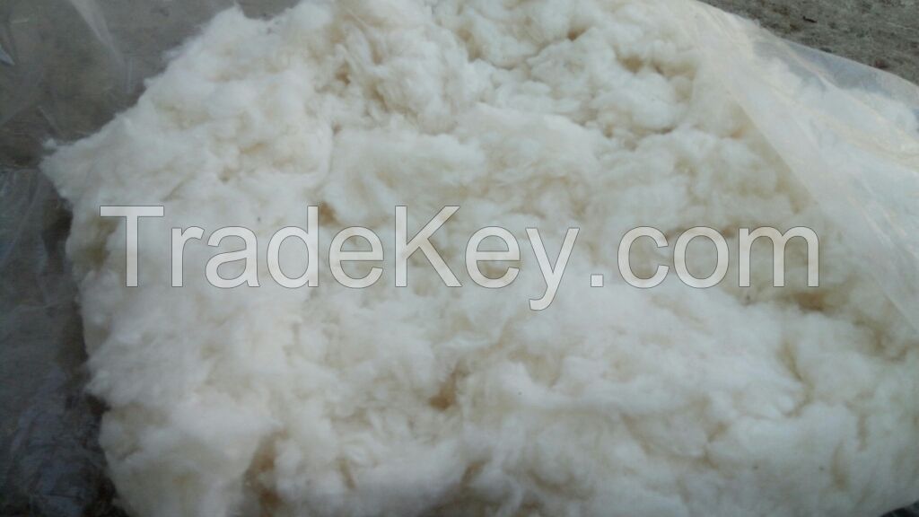 Indian Cotton Waste-Cotton Lickerin