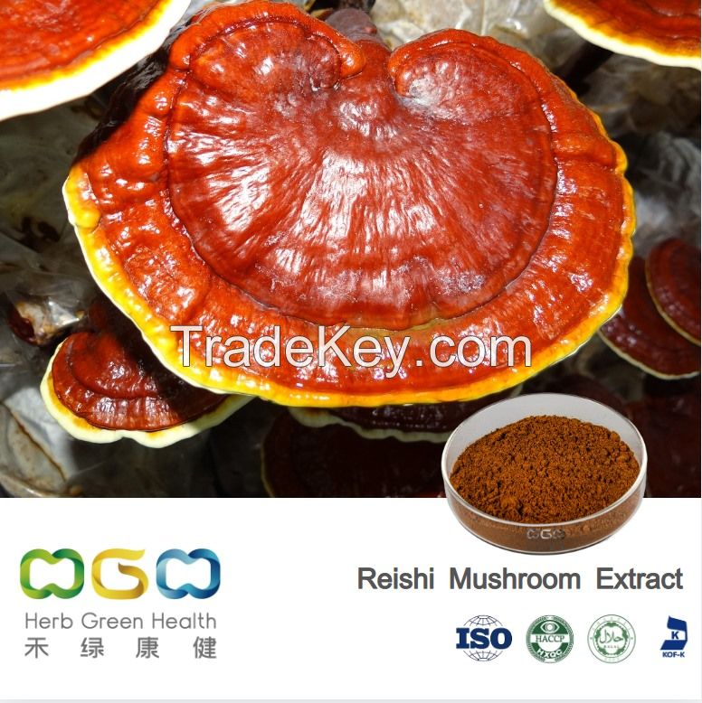 REISHI MUSHROOM EXTRACT 30% POLYSACCHARIDE  GANODERMA LUCIDUM