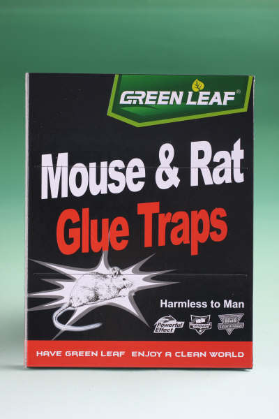 Mouse Glue Traps