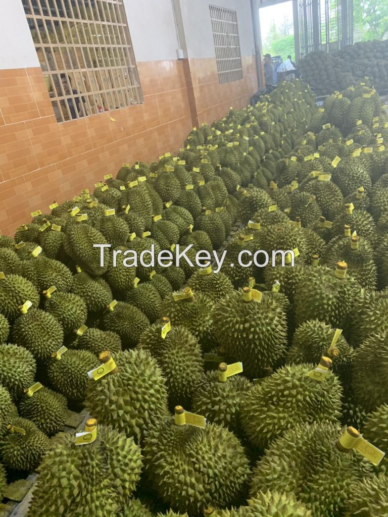 Durian 