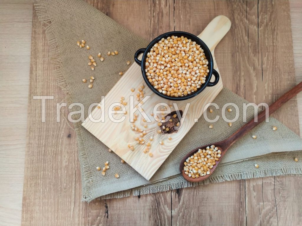 Popcorn
