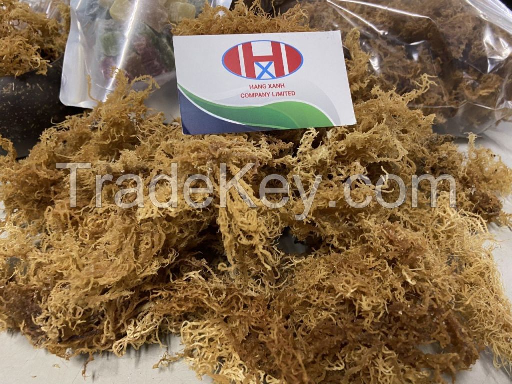 Dried Sea Moss