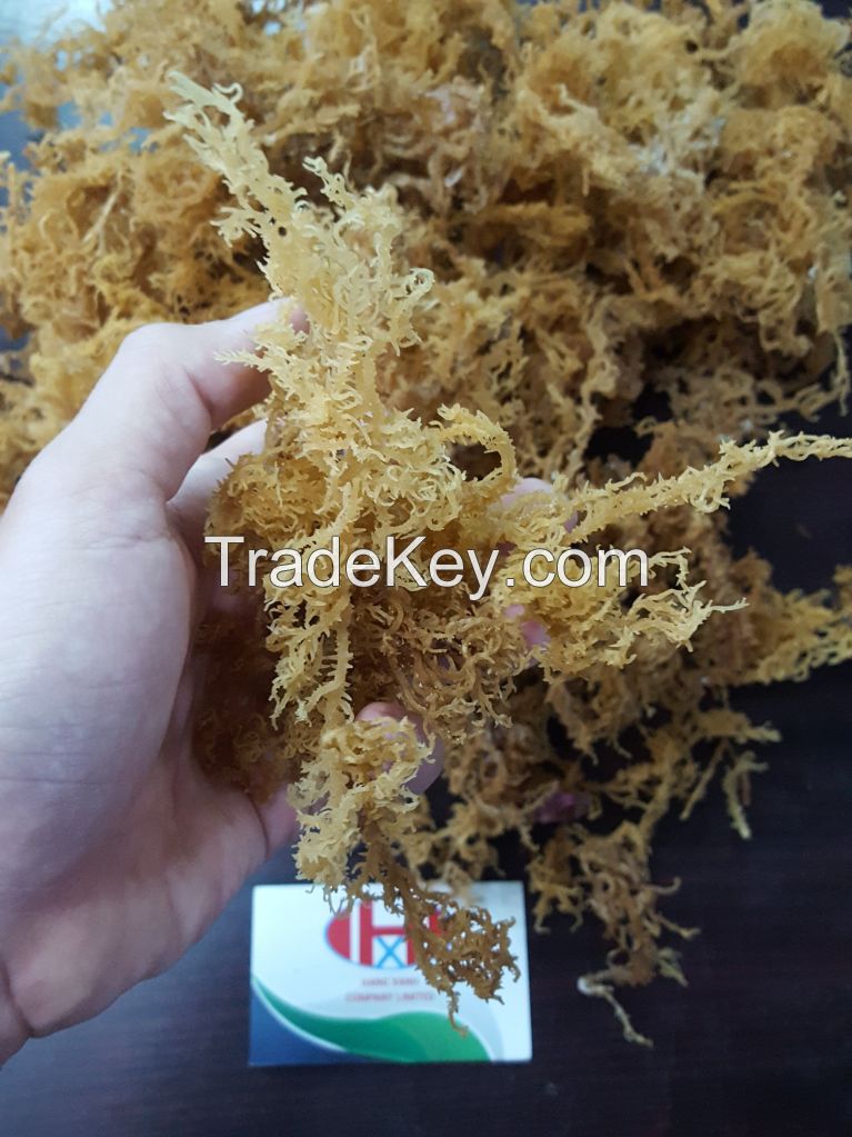 Dried Sea Moss