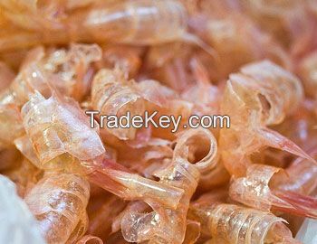 Dried Shrimp Shell