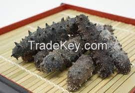 Selling Best Quality Japanese Dried Sea Cucumber