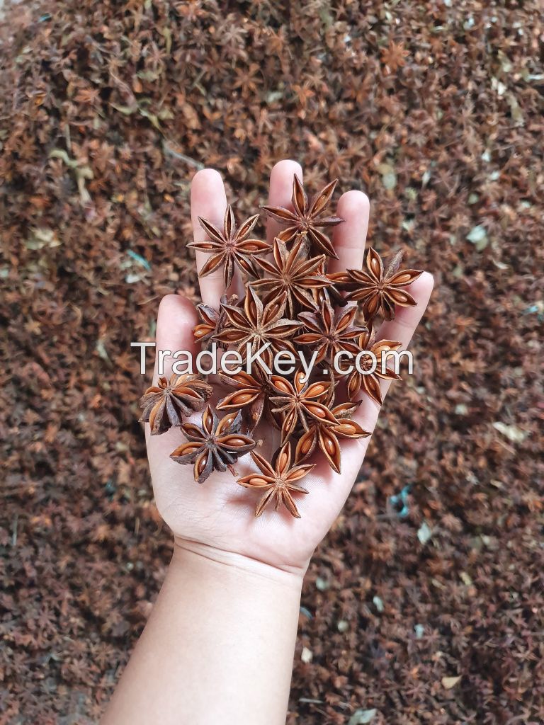 The Best Supplier Star Anise Staranise Aniseed from Vietnam Ms.Lucy +84 929 397 651