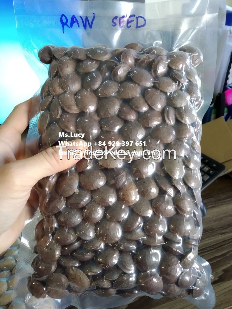 Sacha Inchi / Inca Inchi/ Peanut Inca Seeds Oil Powder High Quality from Vietnam Ms.Lucy +84 929 397 651